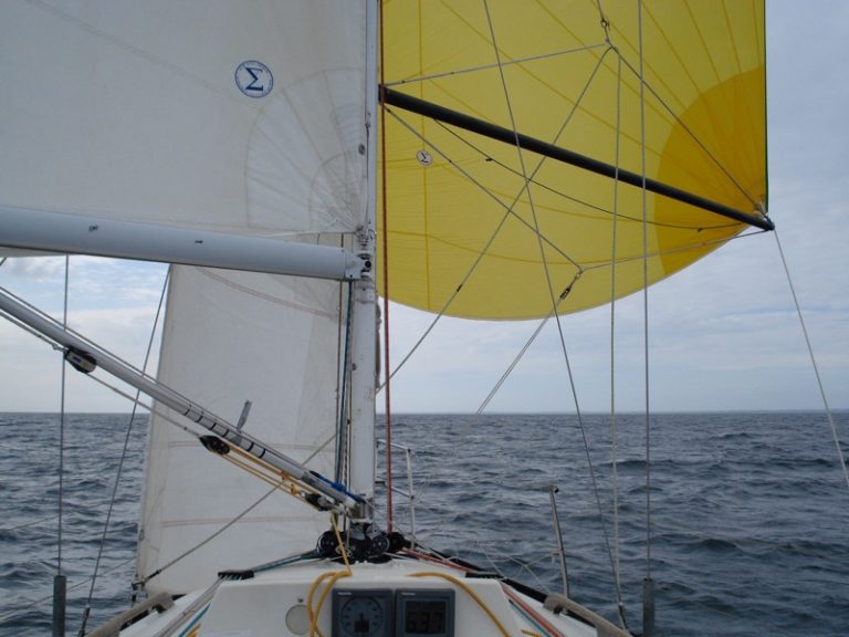 Saison 2007